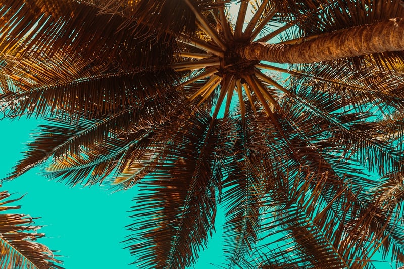 Anse Source d'Argent, Seychelles